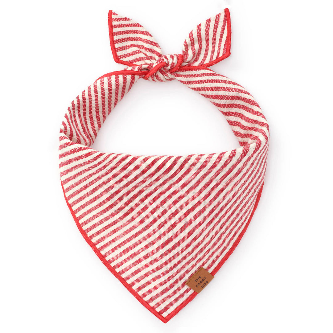 Red Stripe Valentine's Day Dog Bandana