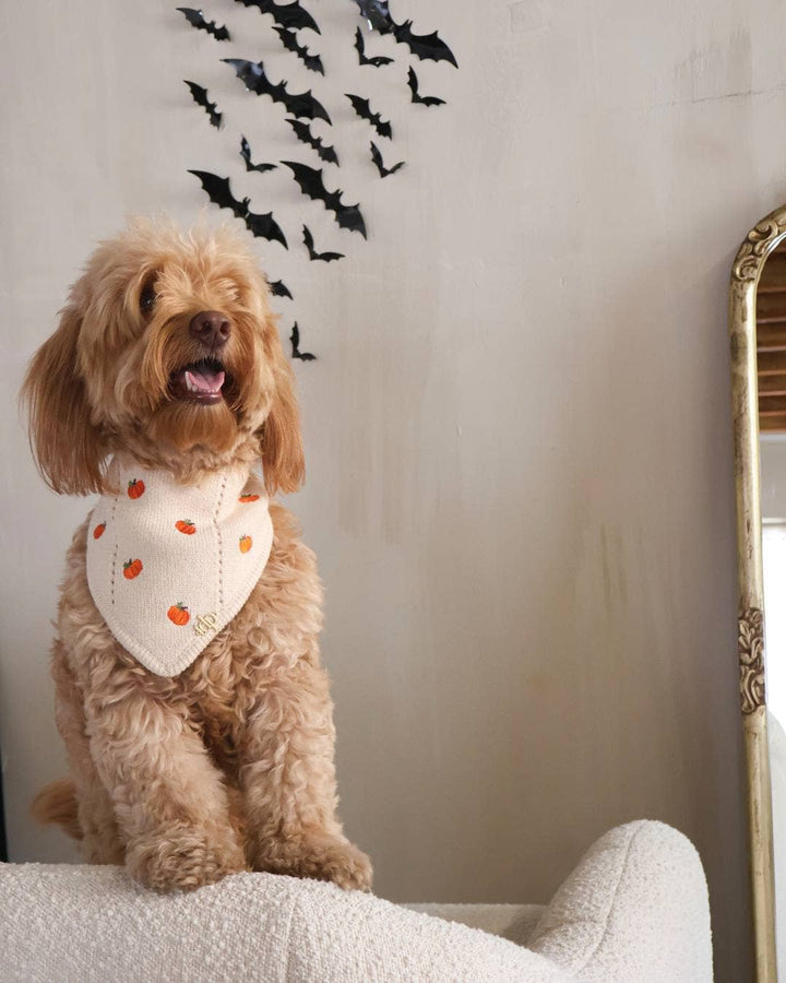 The Deluxe Pup - FALL DOG BANDANA | PUMPKIN HOLLOW