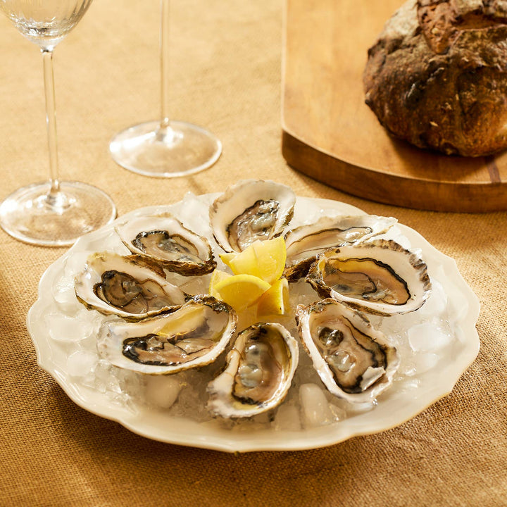 Stella Scalloped Dinner Plate