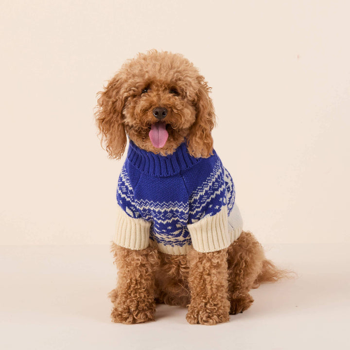 The Foggy Dog - Snow Day Dog Sweater