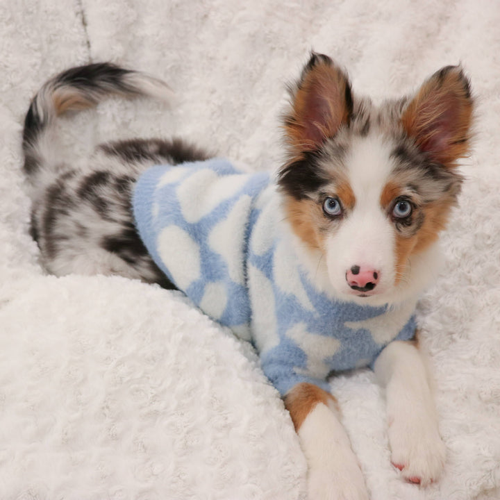 Soft Cloud Sweater (Cloud) | Pet Sweater for Dogs & Cats