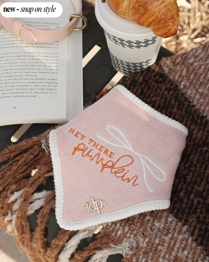 The Deluxe Pup - FALL DOG BANDANA | HEY THERE, PUMPKIN