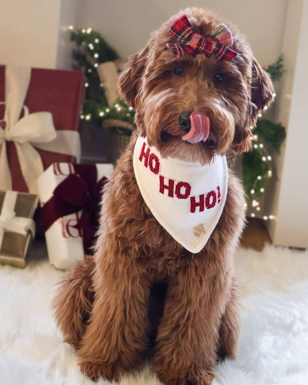 The Deluxe Pup - CHRISTMAS DOG BANDANA | HO HO HO