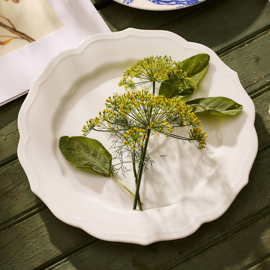 Stella Scalloped Dinner Plate