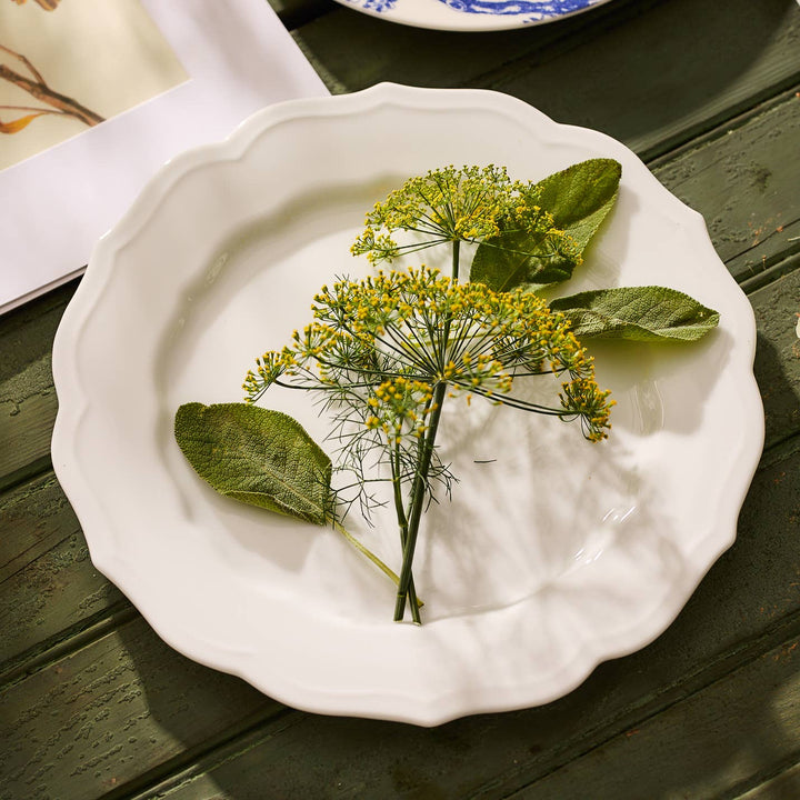 Stella Scalloped Dinner Plate