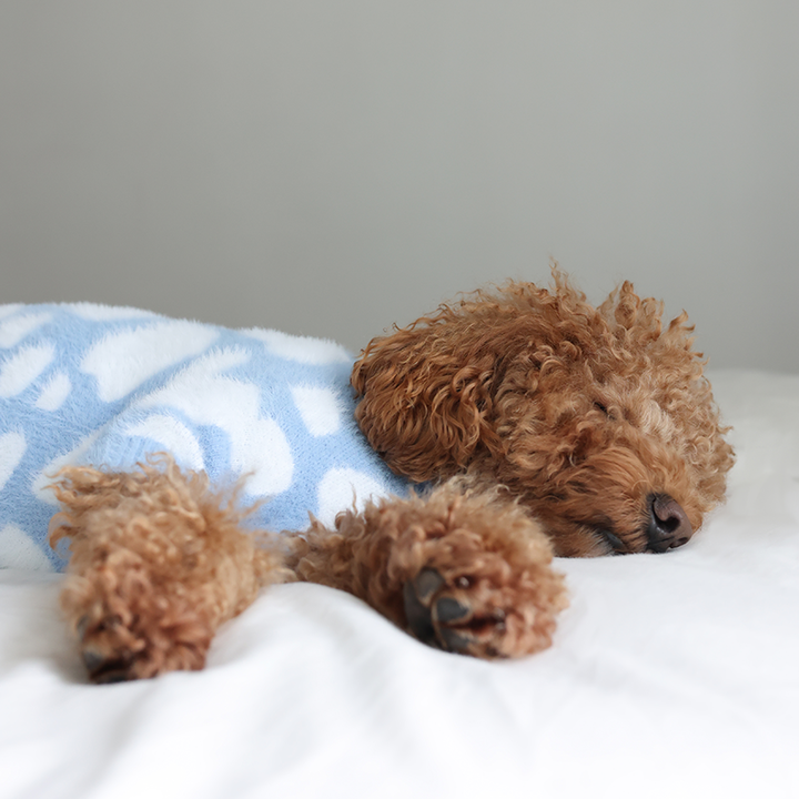 Soft Cloud Sweater (Cloud) | Pet Sweater for Dogs & Cats