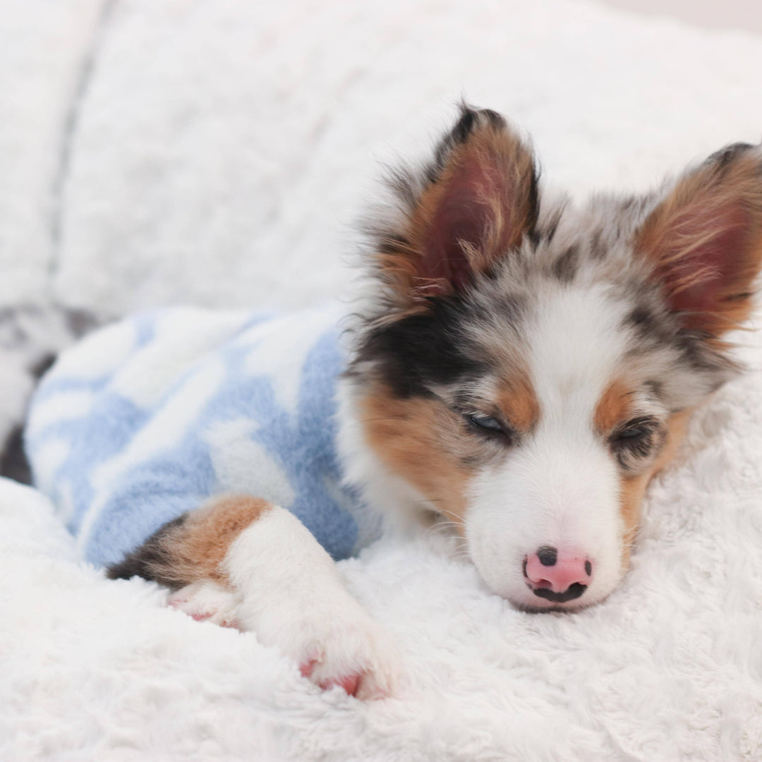 Soft Cloud Sweater (Cloud) | Pet Sweater for Dogs & Cats