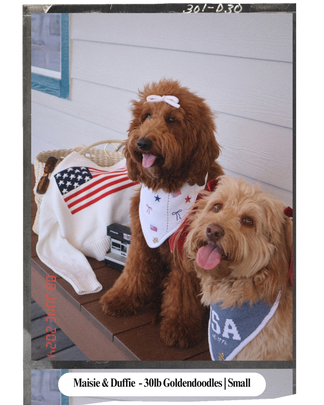 PATRIOTIC DOG BANDANA | MARTHA