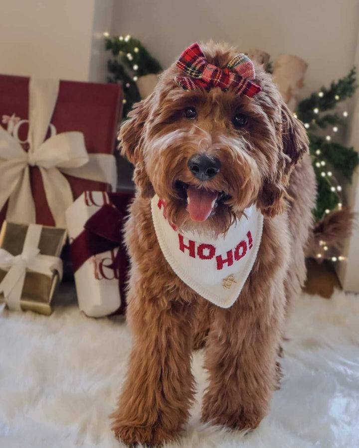 The Deluxe Pup - CHRISTMAS DOG BANDANA | HO HO HO