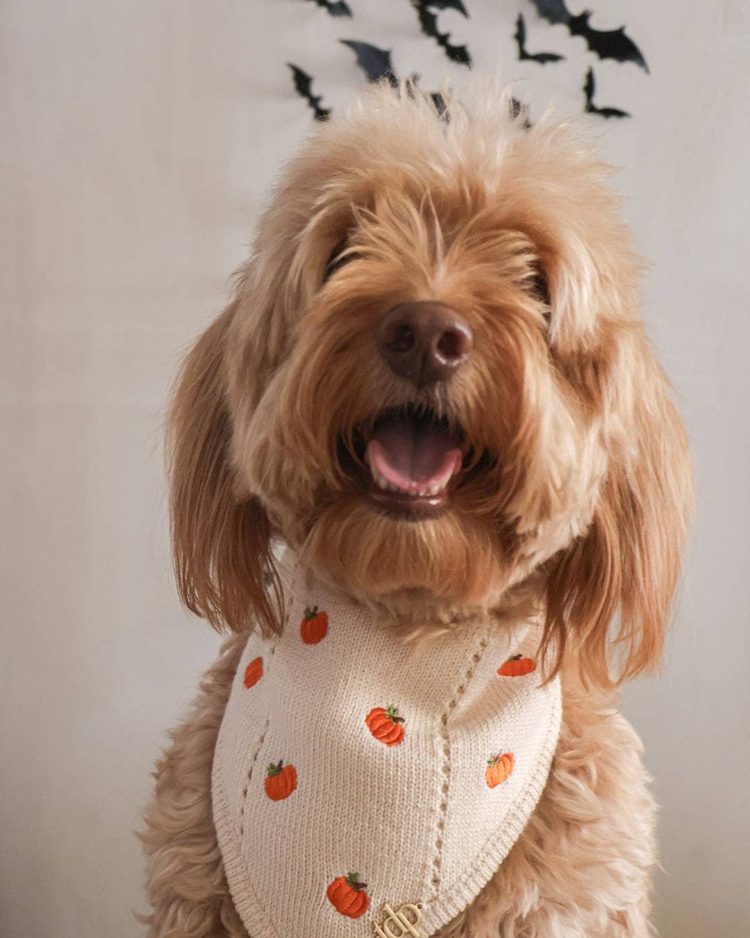 The Deluxe Pup - FALL DOG BANDANA | PUMPKIN HOLLOW