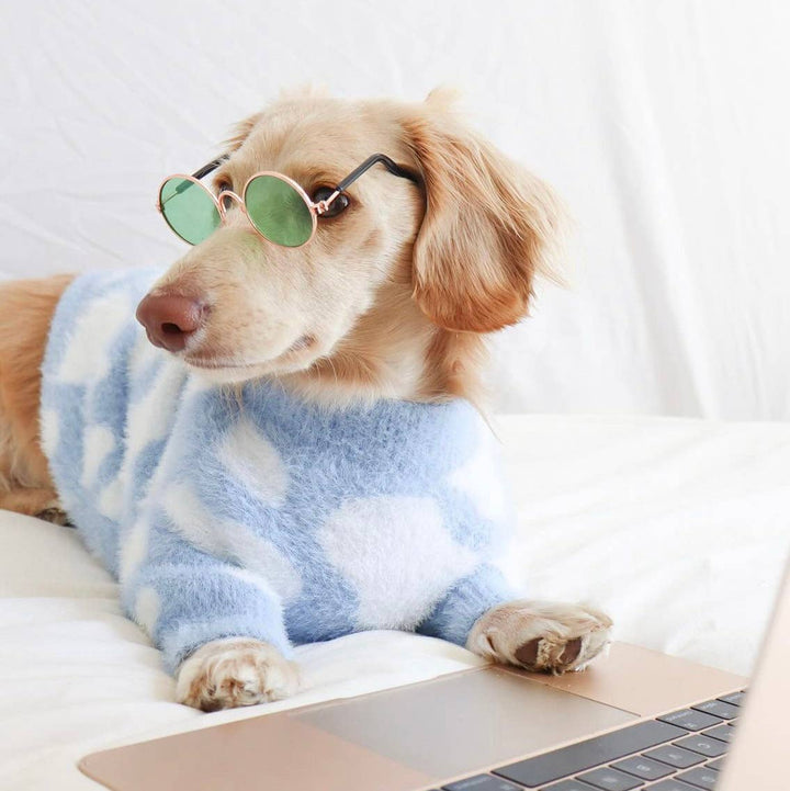 Soft Cloud Sweater (Cloud) | Pet Sweater for Dogs & Cats