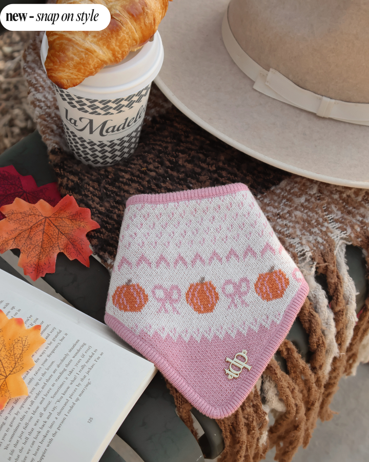 The Deluxe Pup - FALL DOG BANDANA | SWEET SORCERY