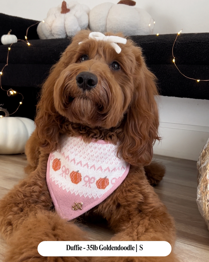 The Deluxe Pup - FALL DOG BANDANA | SWEET SORCERY