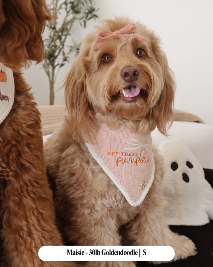 The Deluxe Pup - FALL DOG BANDANA | HEY THERE, PUMPKIN
