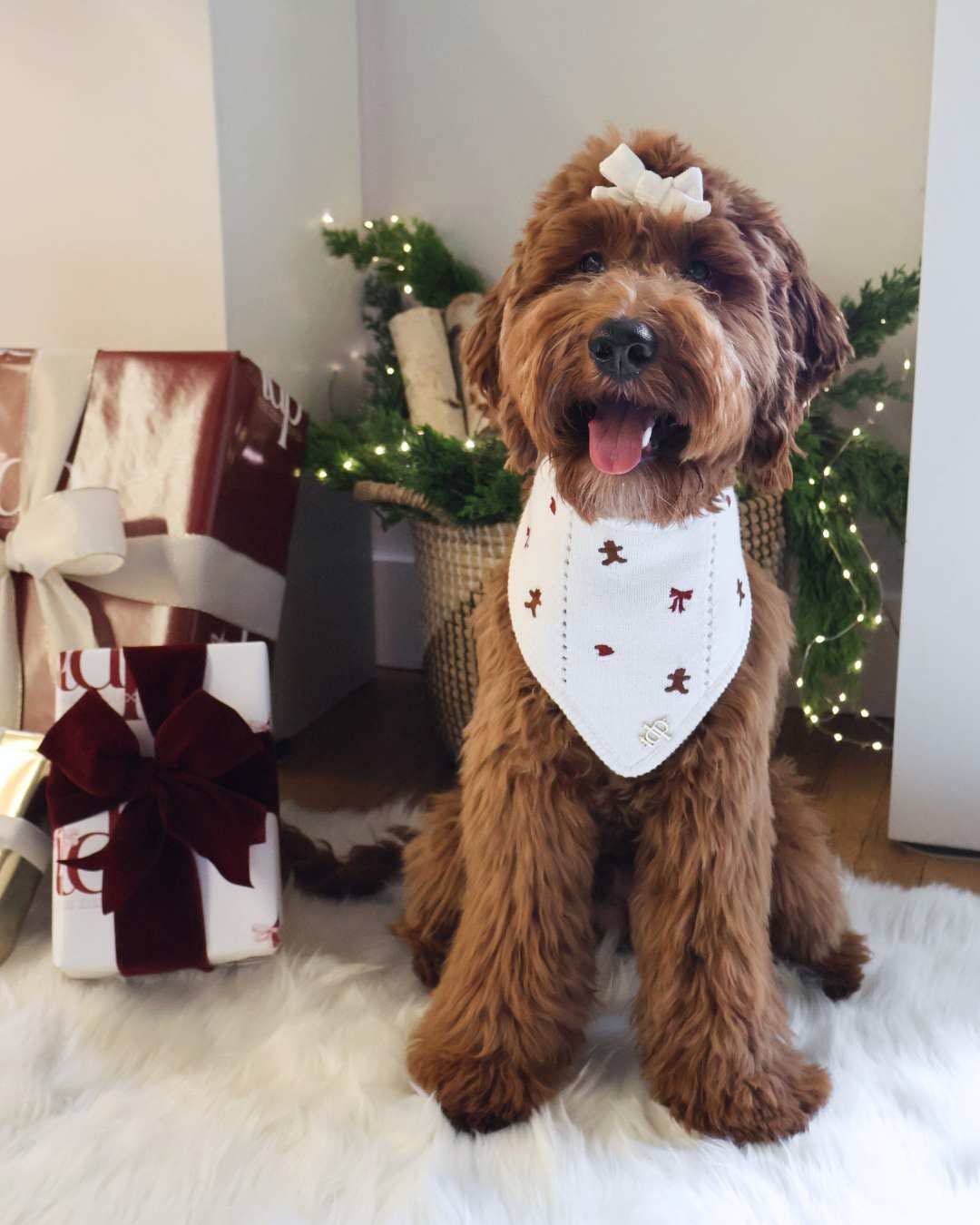 The Deluxe Pup - CHRISTMAS DOG BANDANA | SUGAR AND SPICE